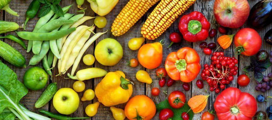 Terapia Nutrición Integrativa Imagen 2 - Primer gran centro de terapias alternativas y Medicina Holística en Barcelona. Atendemos directamente a pacientes y ofrecemos cursos de Medicina Integrativa. Visite nuestro Centro/Escuela o llame al 934 635 572 para mas información.