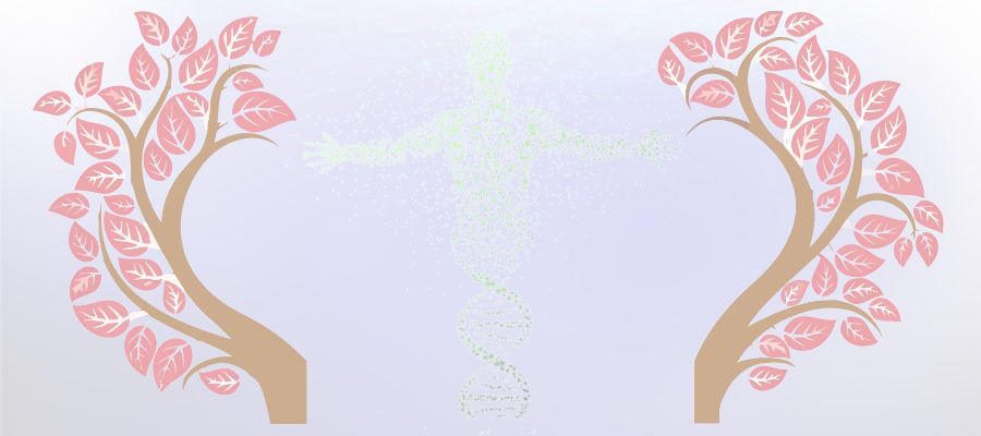Kinegenealogía - Primer gran centro de terapias alternativas y Medicina Holística en Barcelona. Atendemos directamente a pacientes y ofrecemos cursos de Medicina Integrativa. Visite nuestro Centro/Escuela o llame al 934 635 572 para mas información.