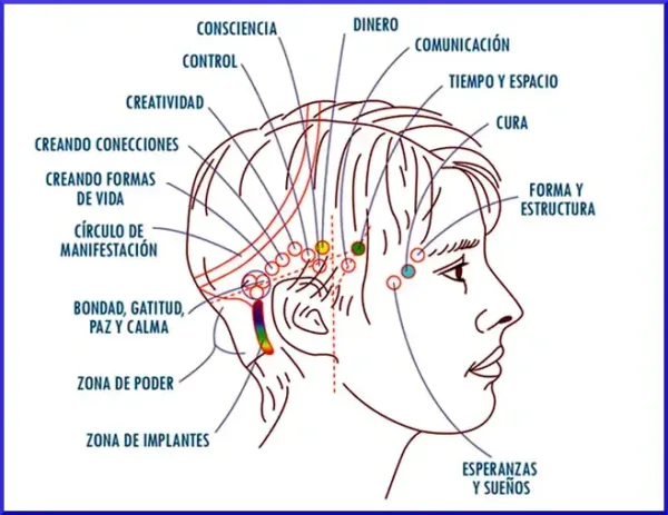 Blog Acces Bars 3 - Primer gran centro de terapias alternativas y Medicina Holística en Barcelona. Atendemos directamente a pacientes y ofrecemos cursos de Medicina Integrativa. Visite nuestro Centro/Escuela o llame al 934 635 572 para mas información.