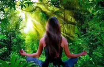 Blog Medicina Ayurveda 4 - Primer gran centro de terapias alternativas y Medicina Holística en Barcelona. Atendemos directamente a pacientes y ofrecemos cursos de Medicina Integrativa. Visite nuestro Centro/Escuela o llame al 934 635 572 para mas información.
